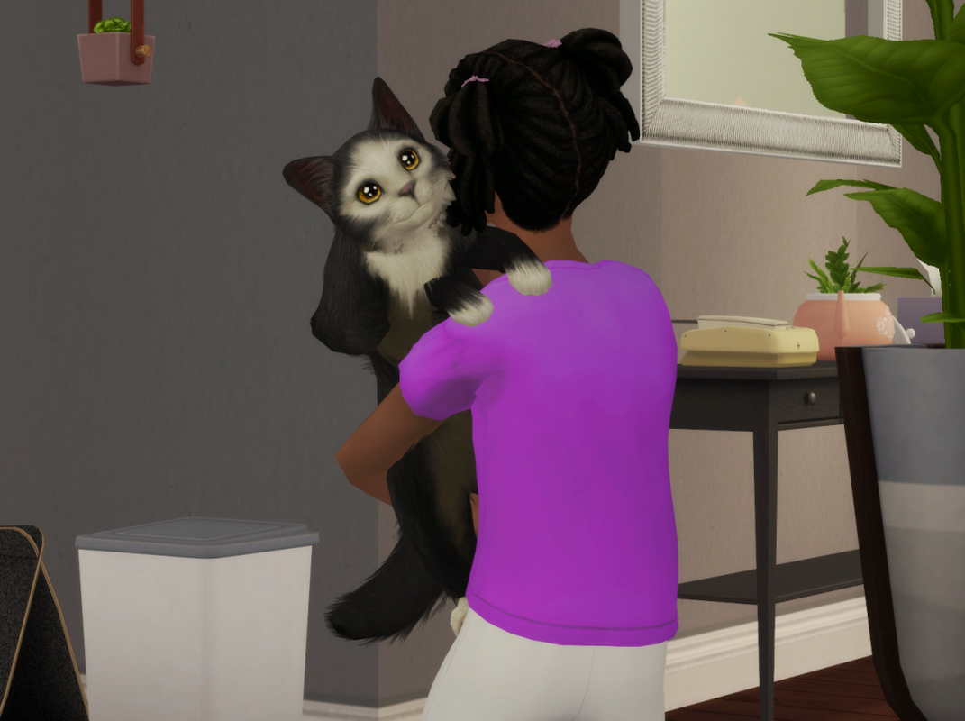 Sims2-EP9-RPC-2024-09-13-21-26-21-82