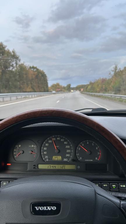 [Image: IMG-6974.jpg]