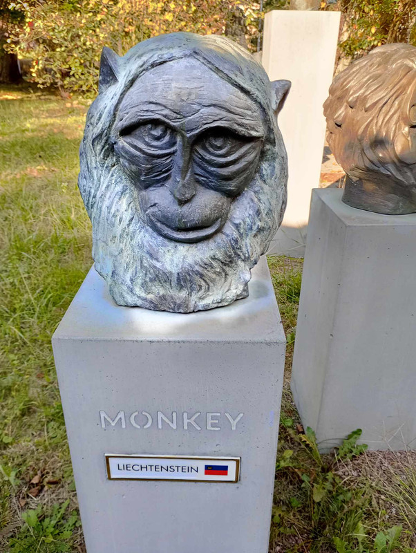 Obrazek