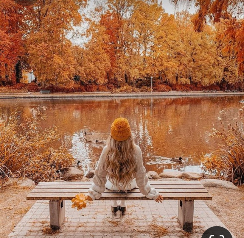 Screenshot_20230302_234819_Pinterest