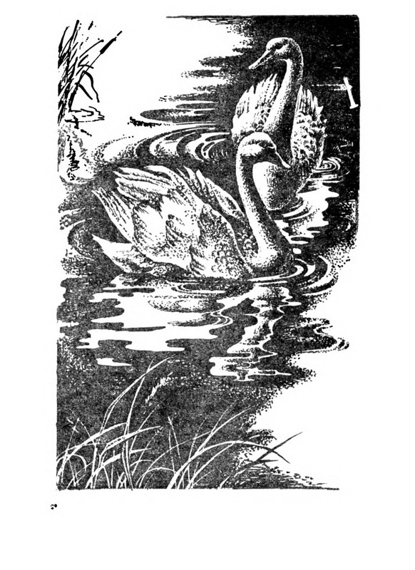 p0012
