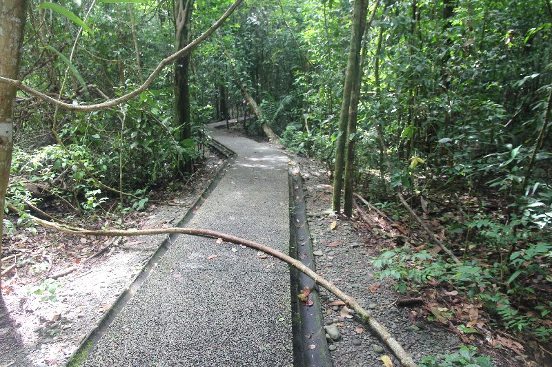 DE TORTUGAS Y PEREZOSOS. COSTA RICA 2019 - Blogs de Costa Rica - DIA 14: PARQUE DE MANUEL ANTONIO (7)