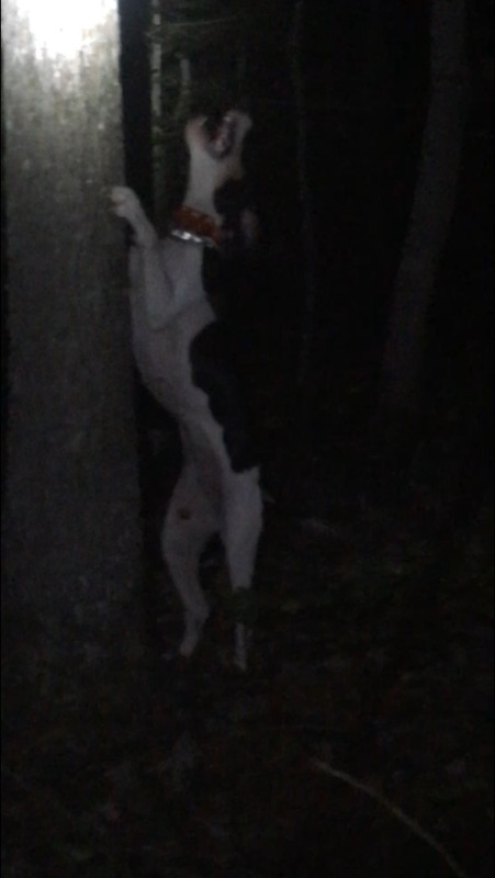 89EDE685-B97B-4303-B974-4BA388A4C529