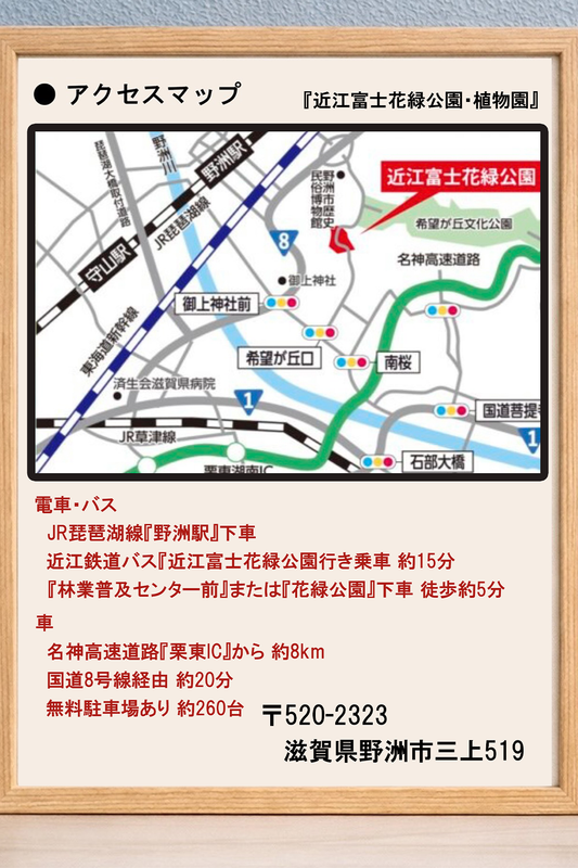 アクセスマップ