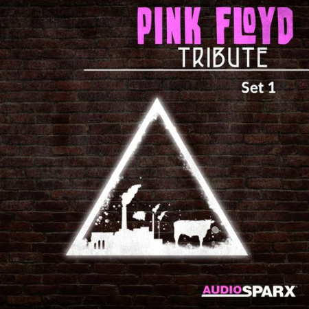 VA - Pink Floyd Tribute, Set 1 (2021) FLAC/MP3