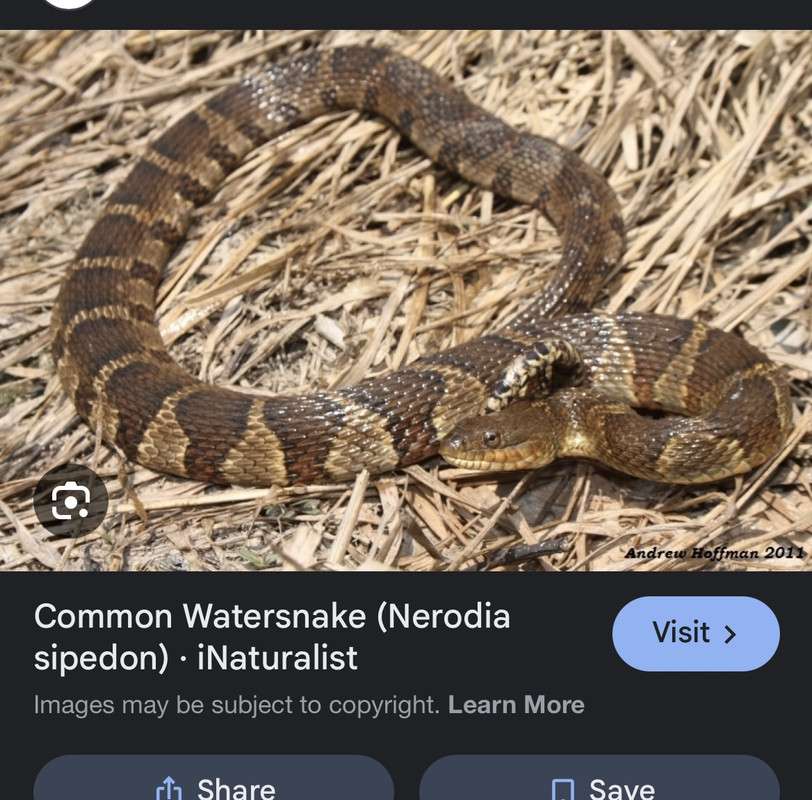 IMG-6367.jpg