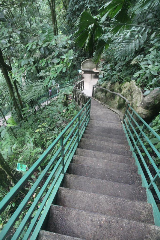 DE TORTUGAS Y PEREZOSOS. COSTA RICA 2019 - Blogs de Costa Rica - DIA 7: ARENAL. CATARATA FORTUNA (16)