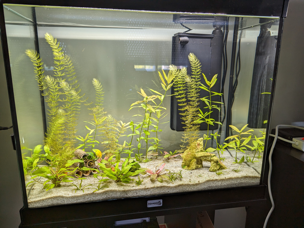 PXL_20240827_135459249