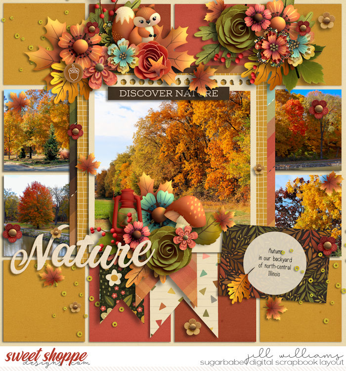 WM-9-29-2025-WOODLAND-ADVENTURE-FLERGS-FADING-INTO-FALL-AMBER.jpg