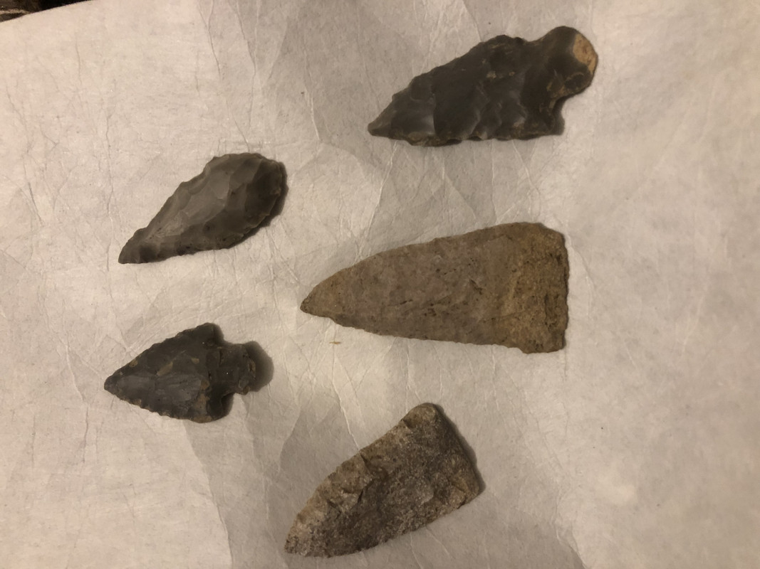 62A43D01-85CE-44C0-891E-329E6AEFE384