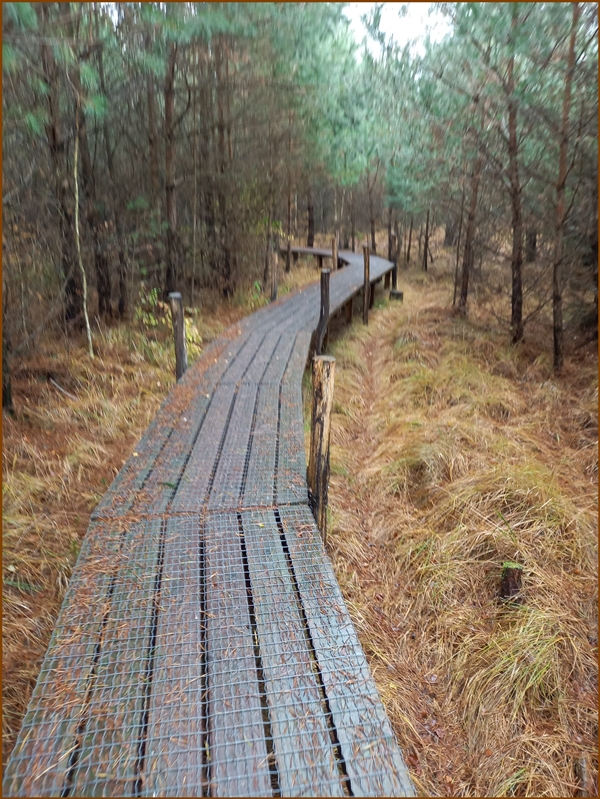 IMG-20231114-WA0011