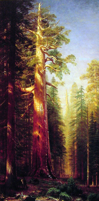 Albert Bierstadt  The-Great-Trees