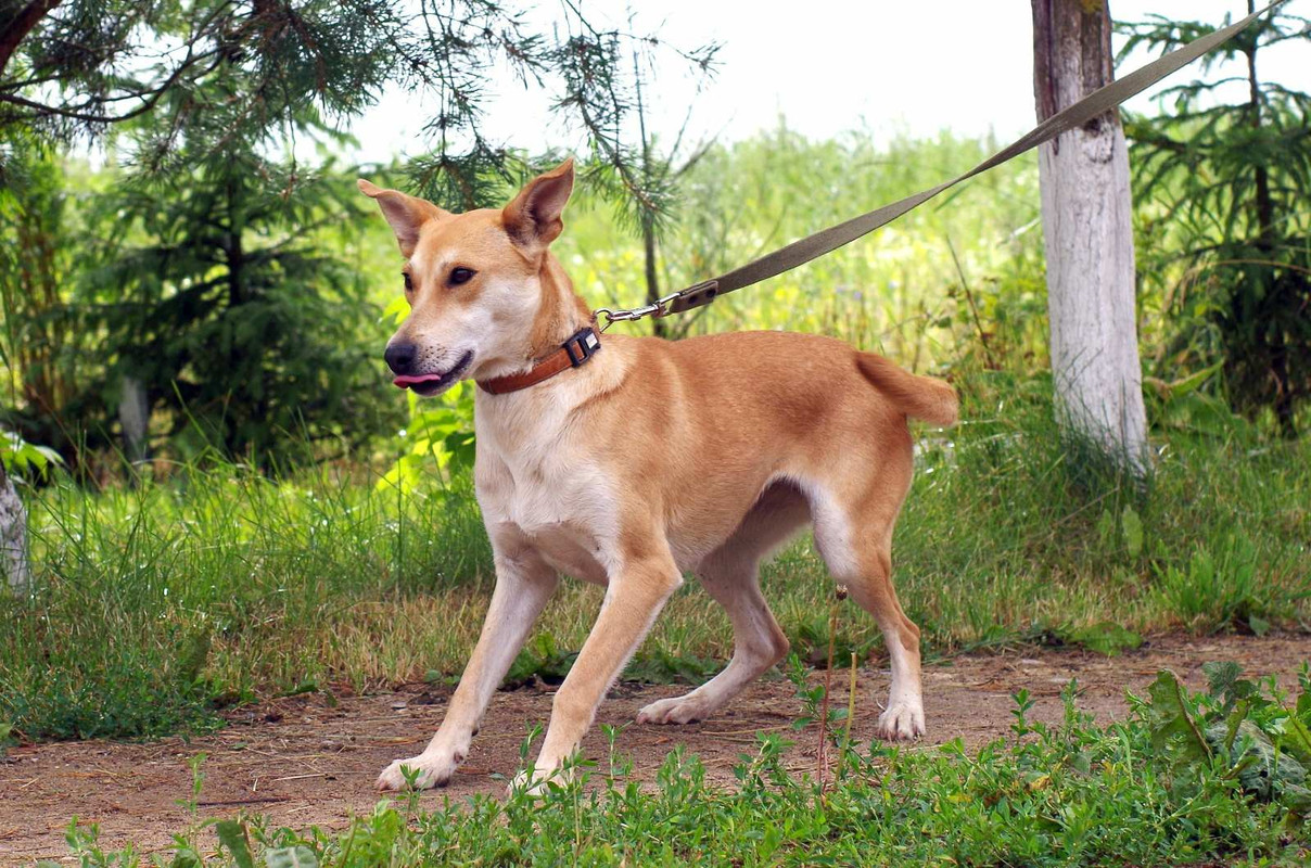 изображение_viber_2022-08-03_05-28-52-995