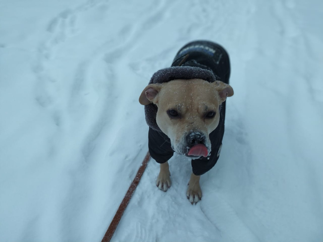 6F2C8DFB-52E8-4056-9DC1-0E6A1A358AC7