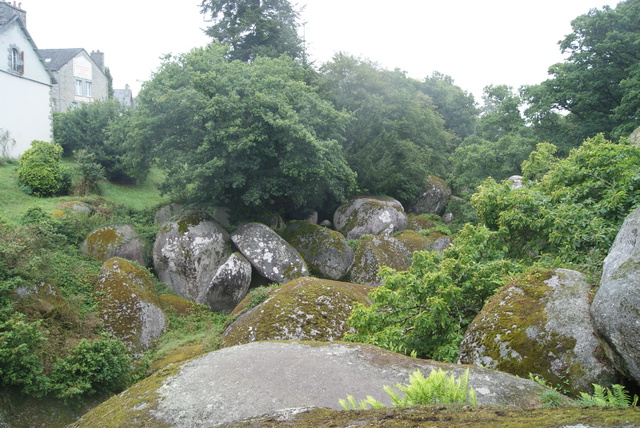 2té 2011 Botsorhel 210