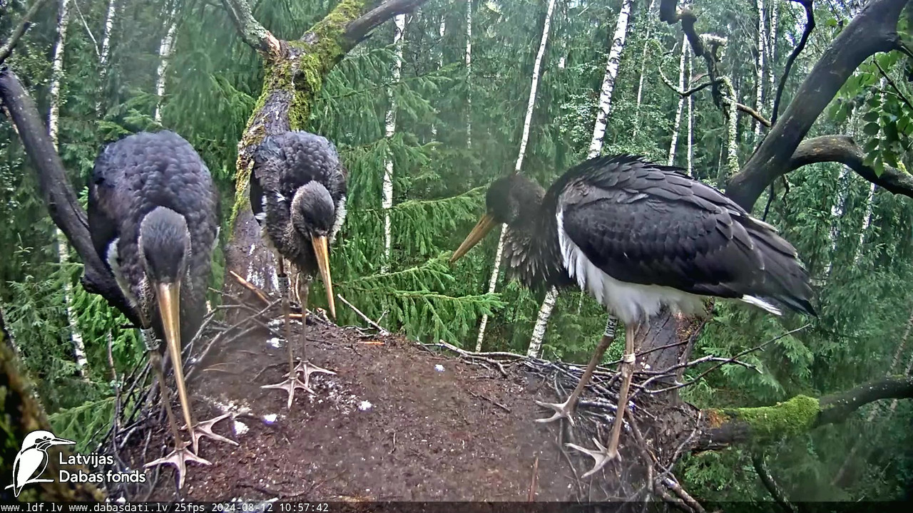 vlcsnap-2024-08-12-14h00m04s872