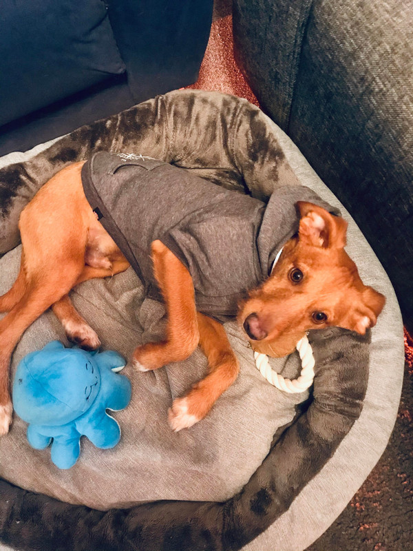 271446480_328786605804263_2470762443188931556_n