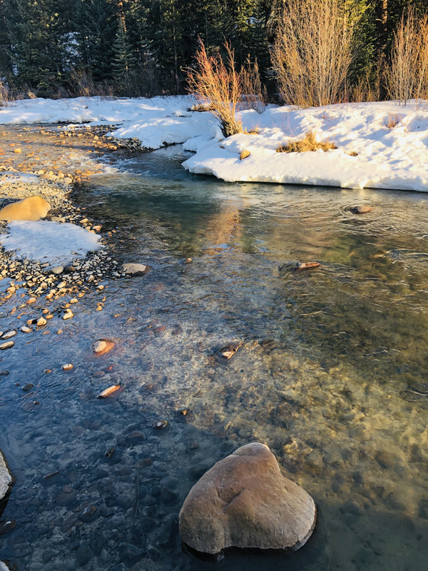 1D54BB81-E97D-4EDD-85C7-20FC70176BEC