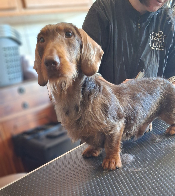 [Image: 20250305-094059.jpg]