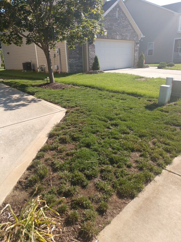 IMG_20180630_180408261