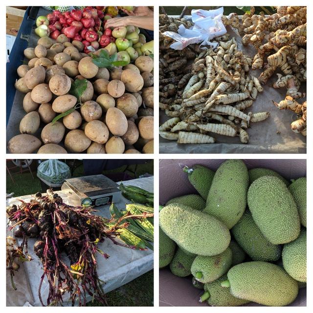 [Image: 20190511-115440-COLLAGE.jpg]