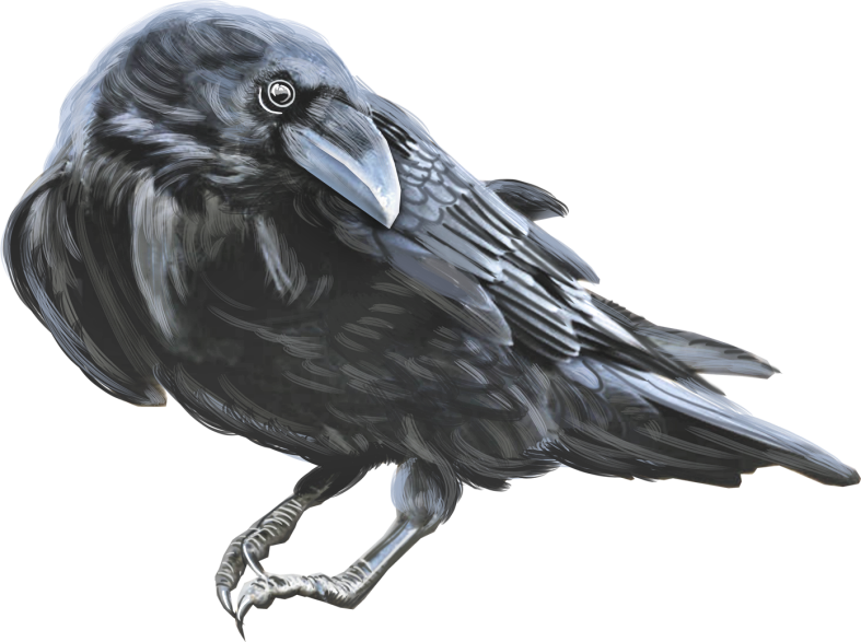 Pumpkinfairykitpudncrow