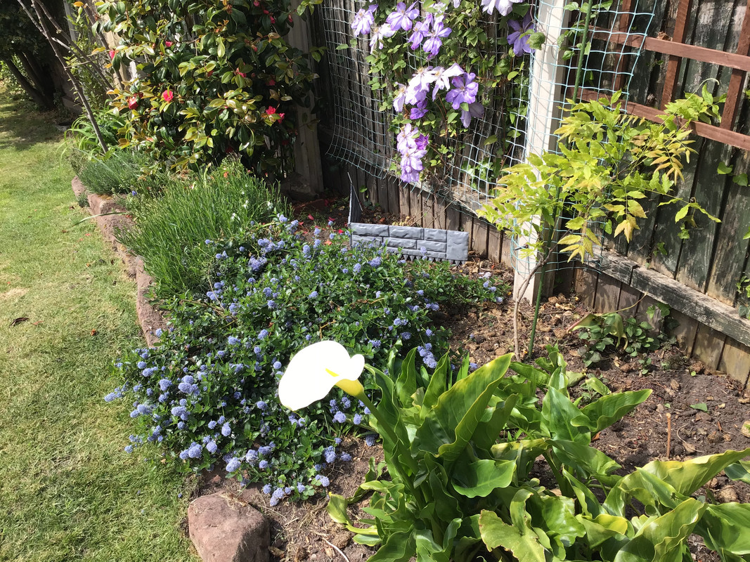 E30071E0-ED4A-4A7A-B63E-E046D31E083A