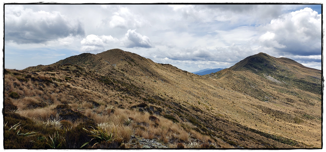 Paparoa NP: Paparoa Track (diciembre 2024) - Escapadas y rutas por la Nueva Zelanda menos conocida (13)