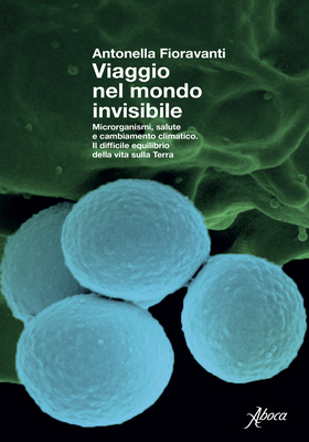 Antonella Fioravanti - Viaggio nel mondo invisibile (2025)