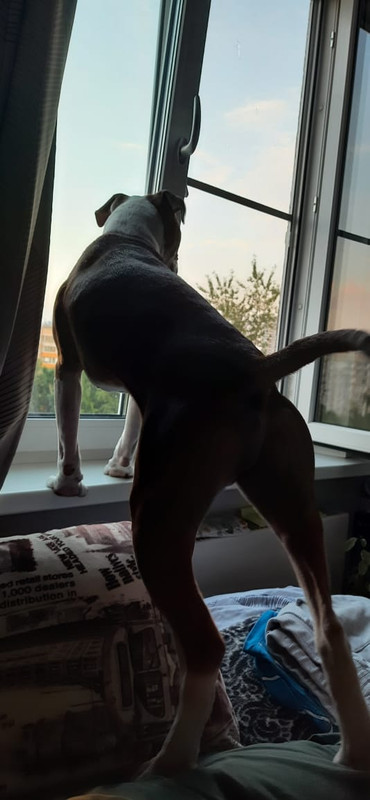 4DC6F02E-2D42-4918-93A3-596029F12256