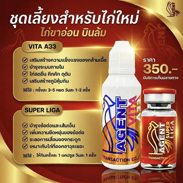 ชุดเลี้ยงสำหรับไก่ใหม่ (VITA A33 + SUPER LIGA)