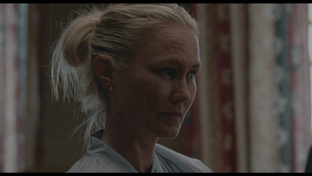 Armand 2024 BDREMUX 1080p sele Zen mkv 20260128 092212 817