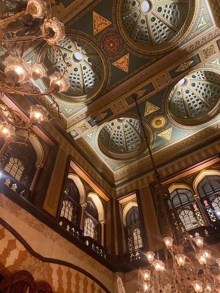 Estambul: visitas, compras, paseos. Un día completo. - Un poco de Turquía en Navidad de 2025: Estambul y Capadocia bajo la nieve (13)