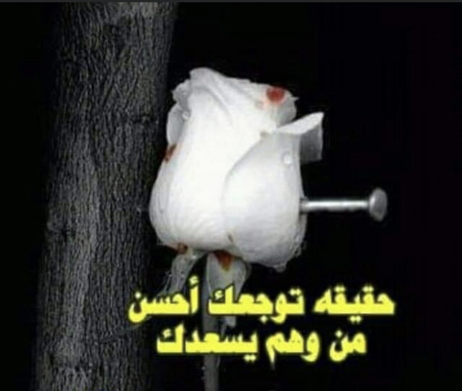 IMG_٢٠٢١٠٢٢٥_٢٣٤٢٥٧