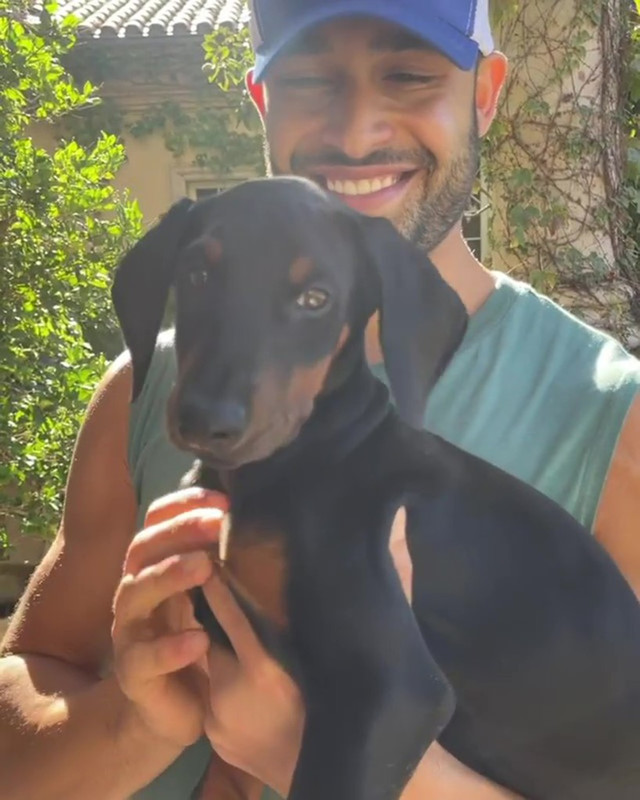 Sam Asghari sorprende a Britney Spears al regalarle un adorable perrito