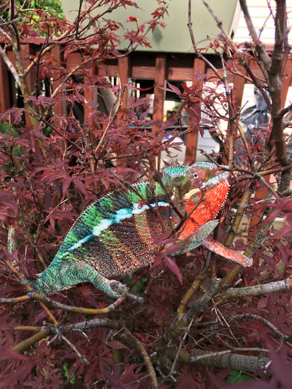 51812D5C-FC66-4373-B03C-E22FAE3625E9