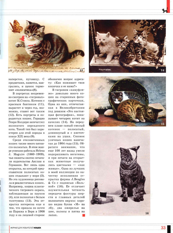 Друг кошек 2005-08-32