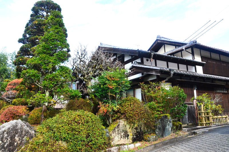 Tsumago-Juku-16-11-2024 - Japón y sus Pueblos-2024 (59)