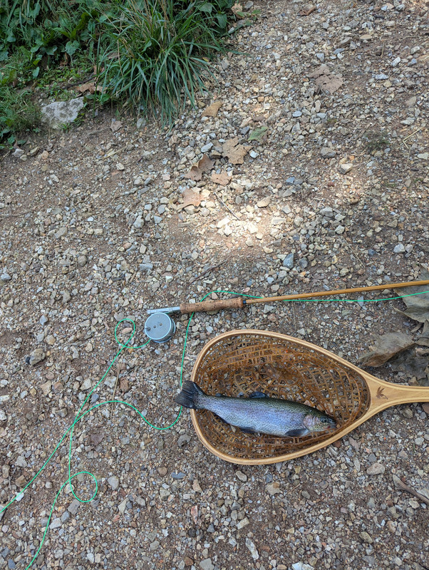 PXL_20250715_192913362.ACTION_PAN