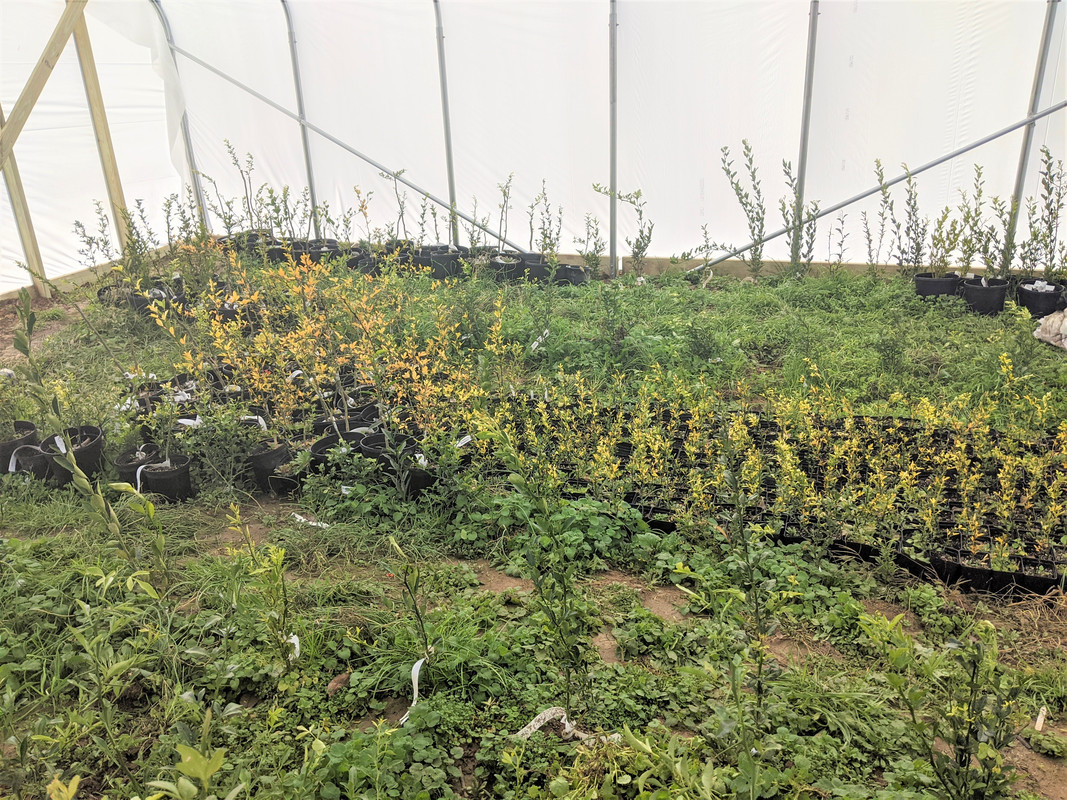 November 2019 West View