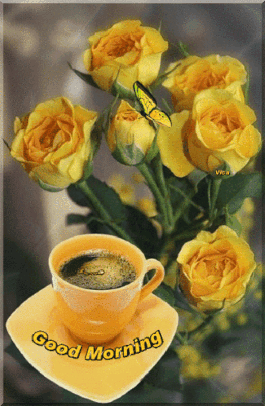 An den Beitrag angehängtes Bild: https://i.postimg.cc/2yJg5JZ6/oie-1181331w-ZNz-TKQa.gif