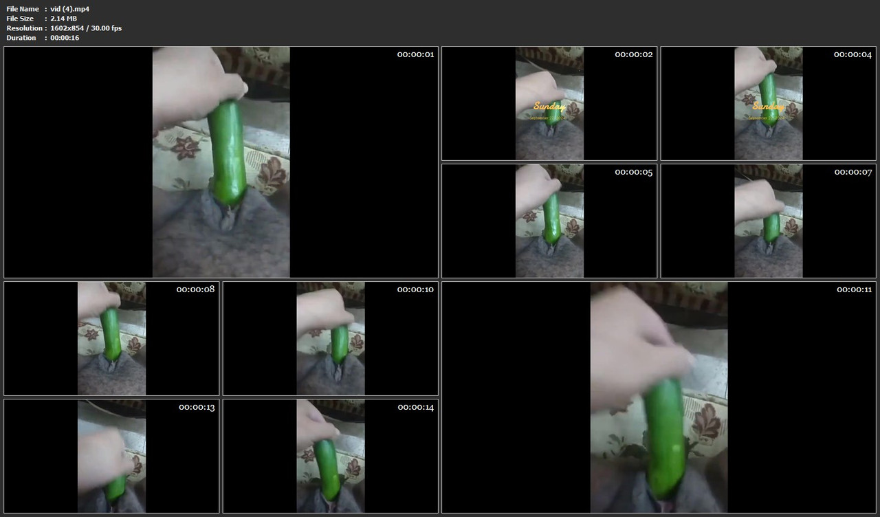 vid (4).mp4