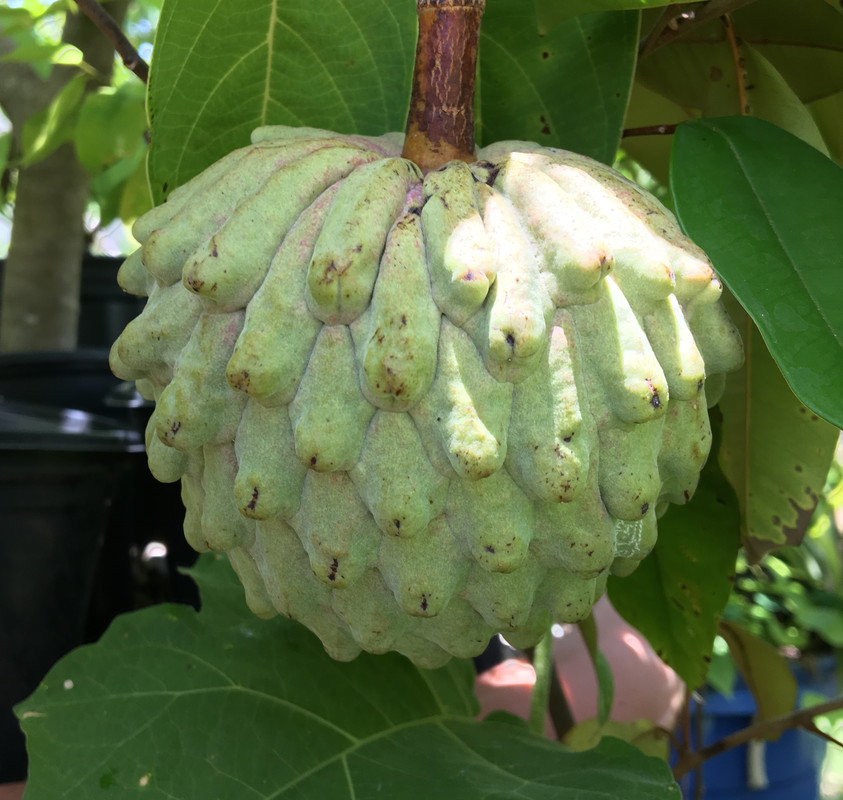 688AD9EB-185F-4776-9192-234A23131AEA