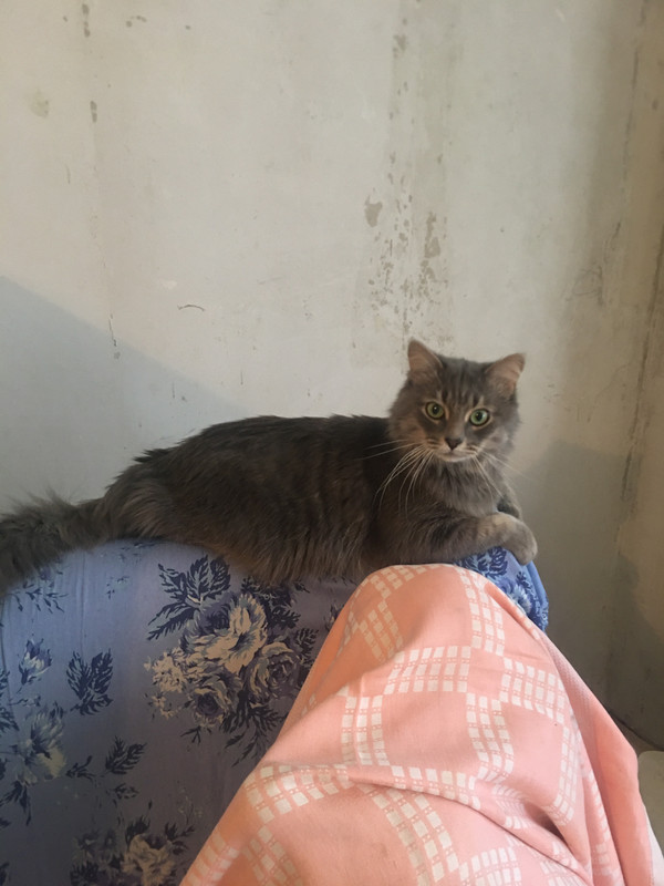 8ACF6809-D6EF-4904-98FB-B6495E708CB4