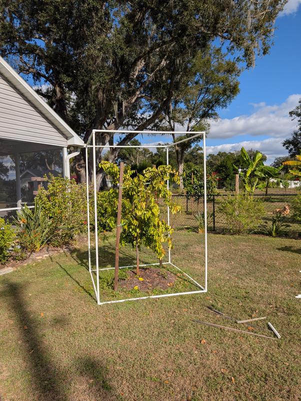 PXL 20251227 192253933 MP