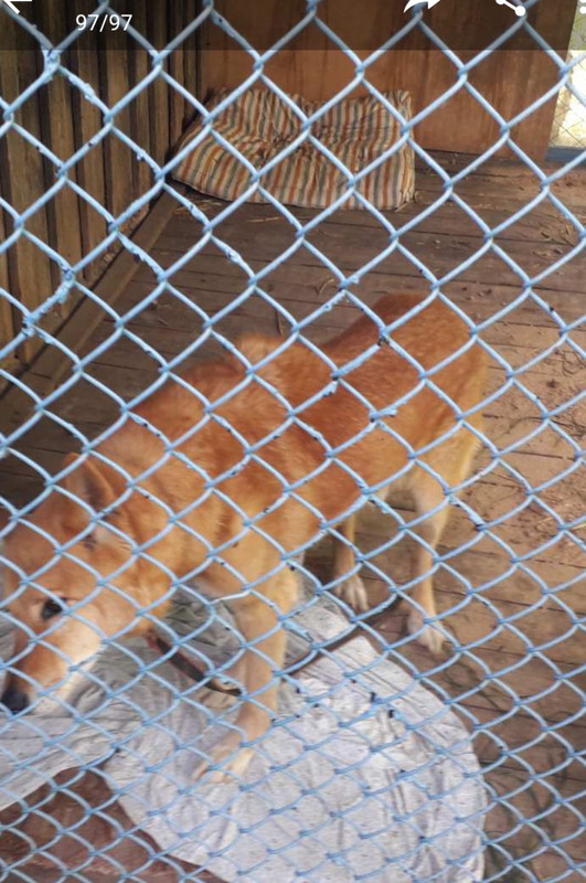 изображение_viber_2020-06-04_18-23-31