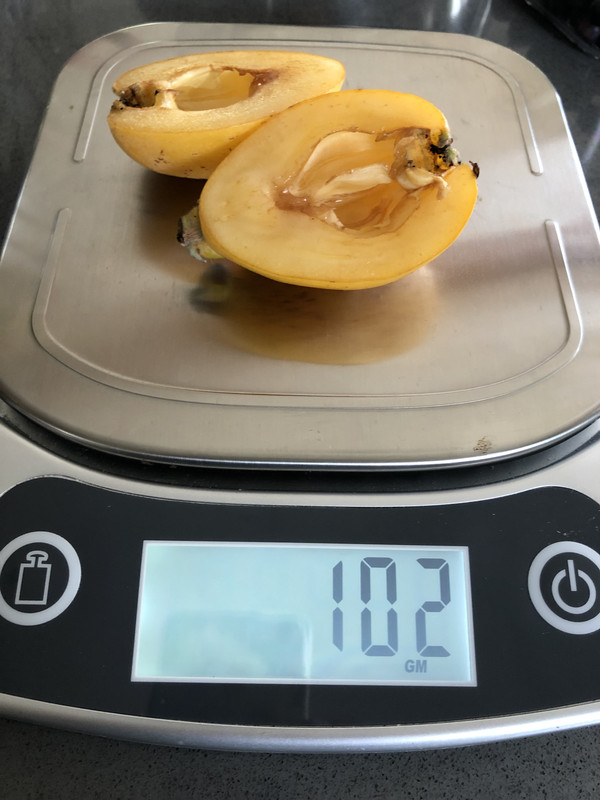 46304DA7-0B76-437E-87A5-8D0D9460EE88