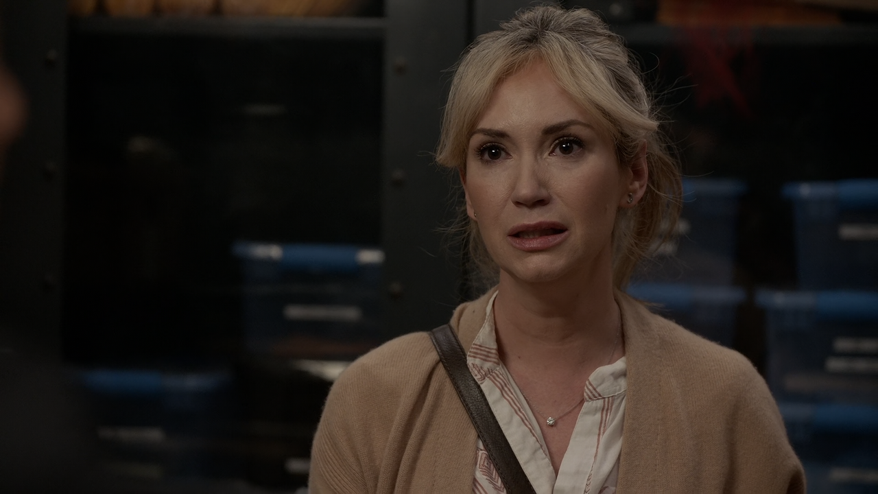 The.Rookie.S03E05.Lockdown.1080p.10bit.AMZN.WEB-DL.DDP5.1.HEVC-Vyndros.mkv_snapshot_29.02_[2021.02.1