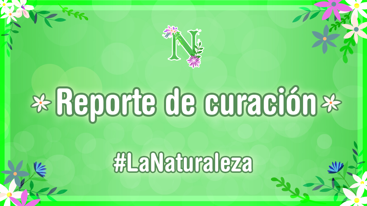 Loreennaa-naturaleza-base-portada.jpg