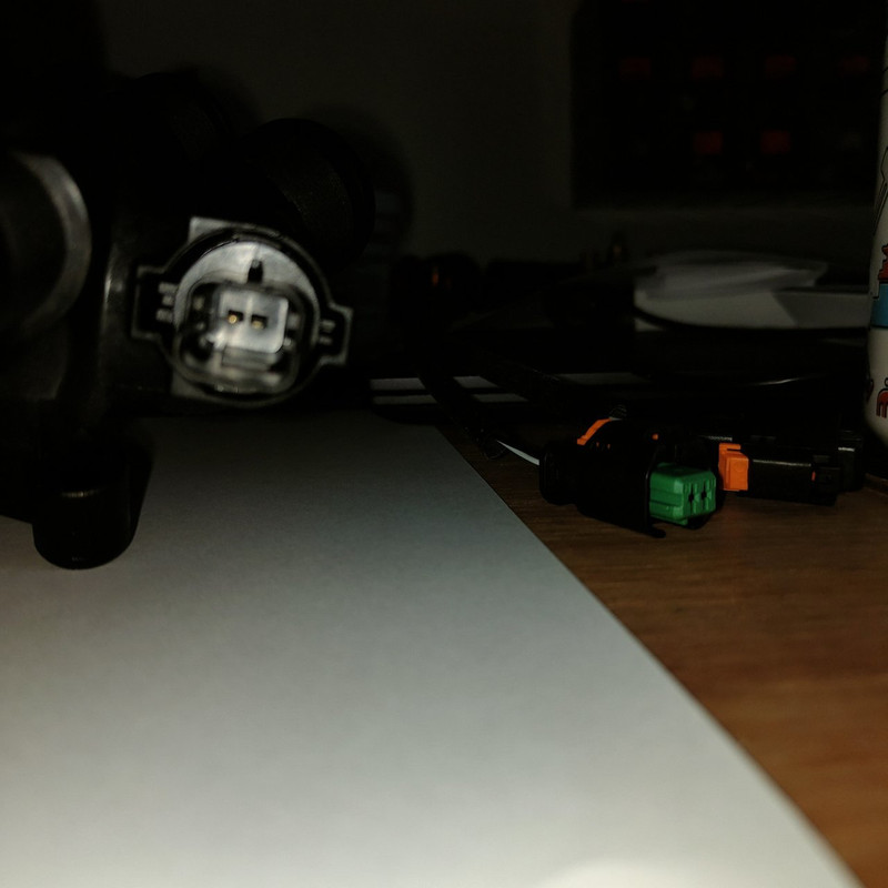 IMG20240323133250